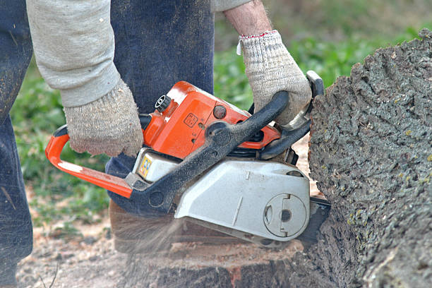 Lawn Grading and Leveling in Benbrook, TX